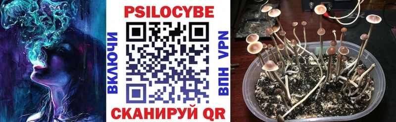 MEGA tor  Александровск  Псилоцибиновые грибы Magic Shrooms 